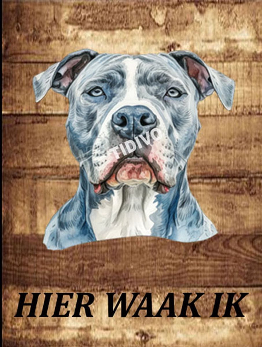 Guatemalan Dogo 20