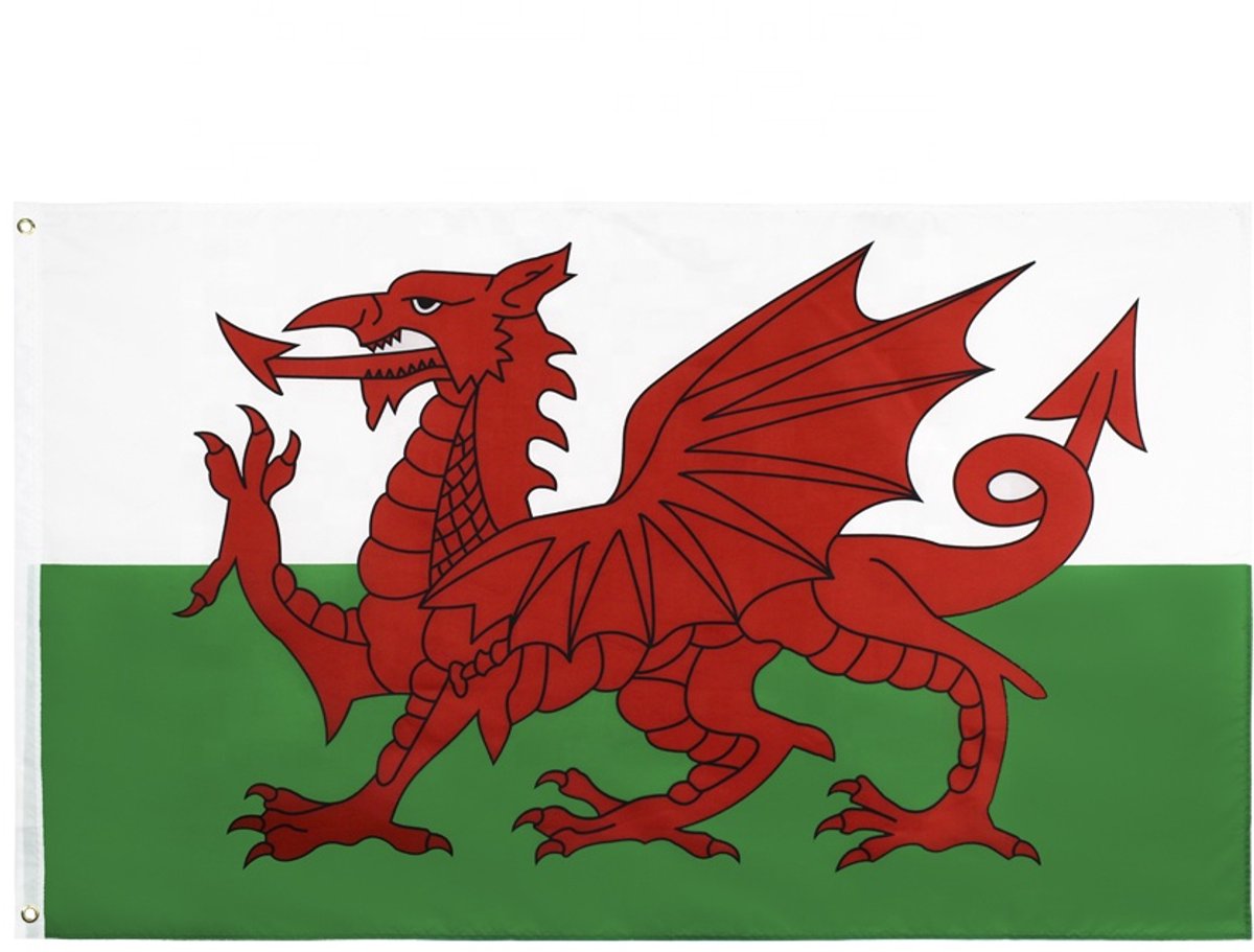 Go Go Gadget - Vlag - 90x150cm - Wales