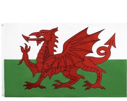 Go Go Gadget - Vlag - 90x150cm - Wales