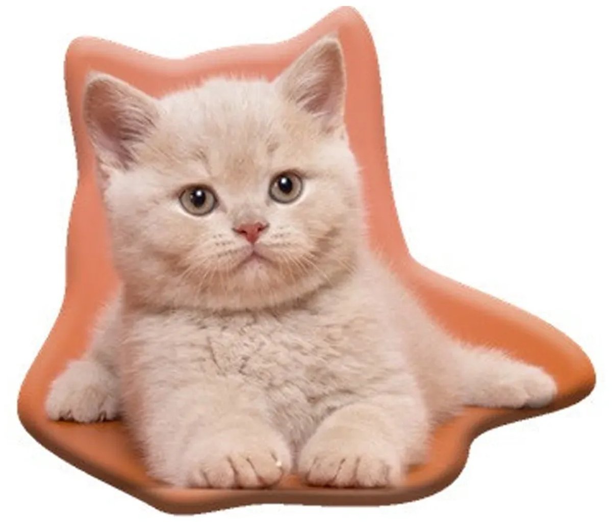 Kussen van Poes