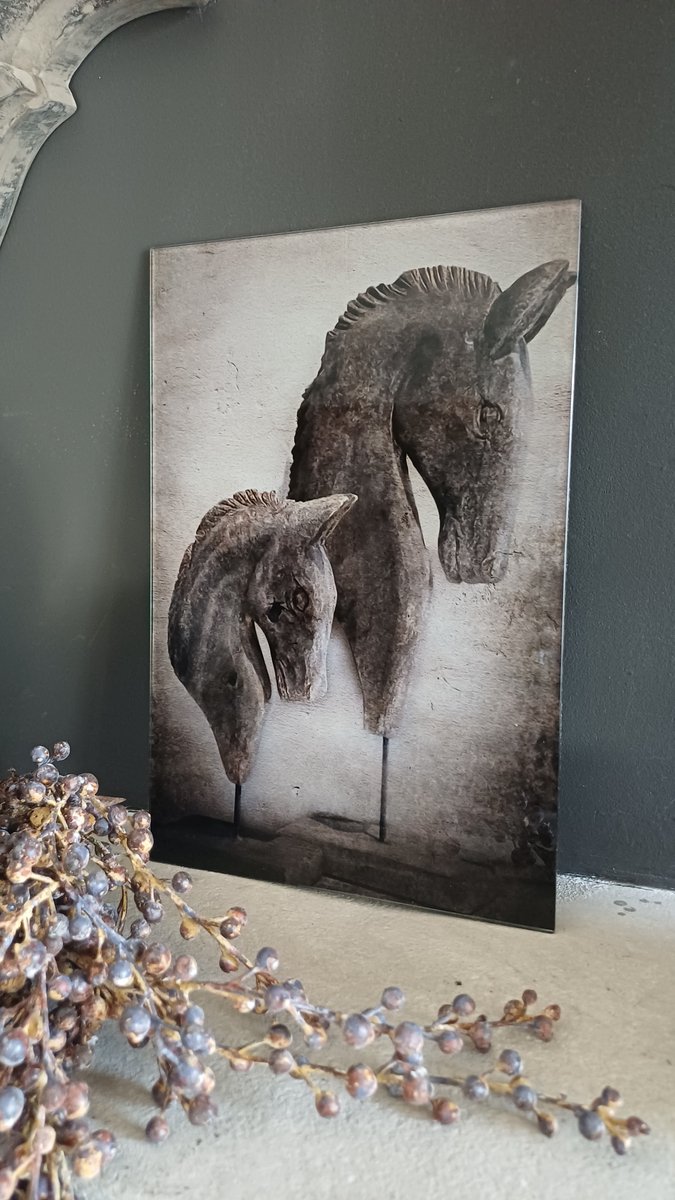 Schilderij glasplaat 3
