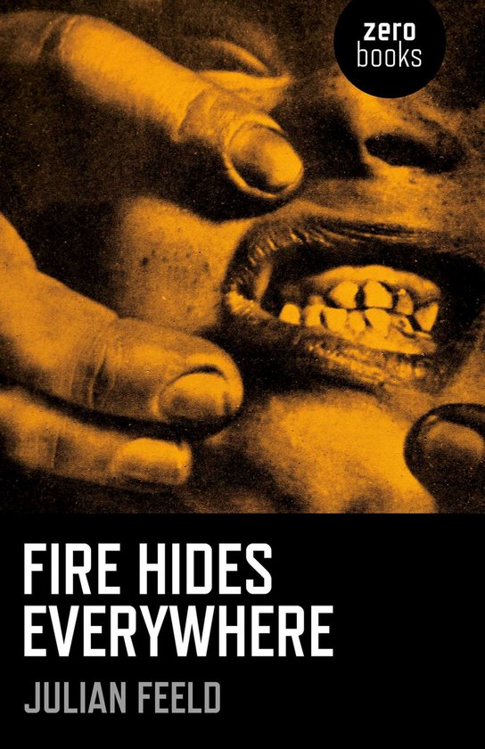 Fire Hides Everywhere - cover