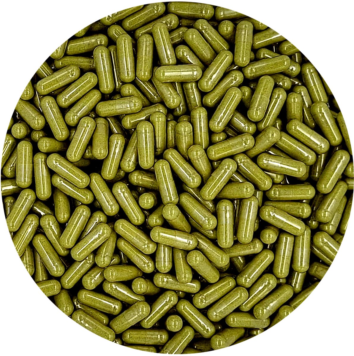 Moringa Capsules 1000 Stuks