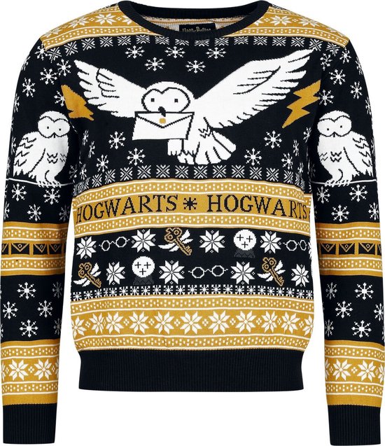 Pull de Noël Harry Potter Hedwige multicolore M Katoen -