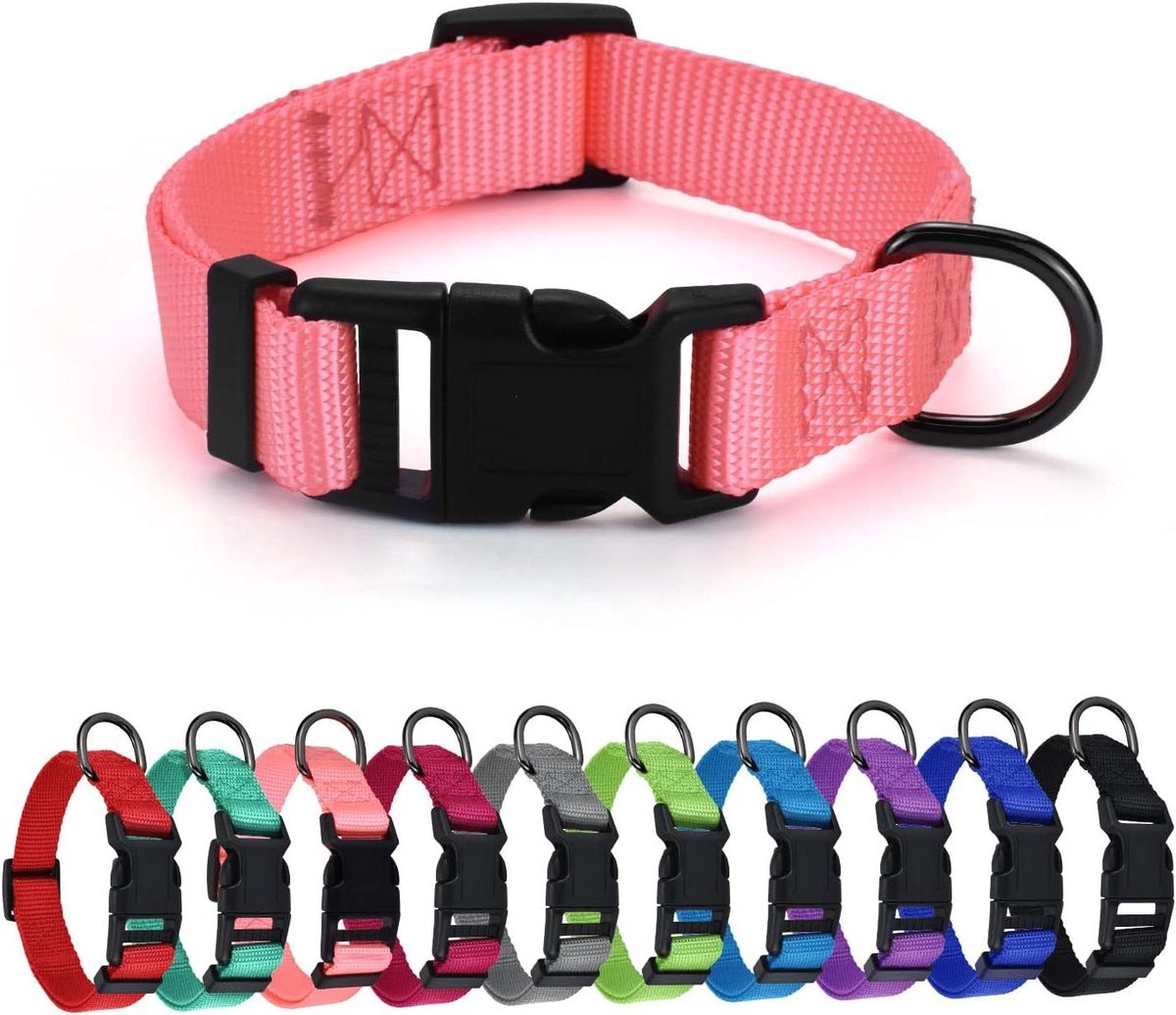 Cosensi - Nylon halsband in diverse kleuren voor kleine, middelgrote en grote honden - Verstelbaar - 4 maten
