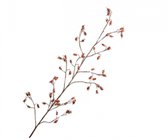 Rozenbottel tak Silk-ka oranje 68 cm