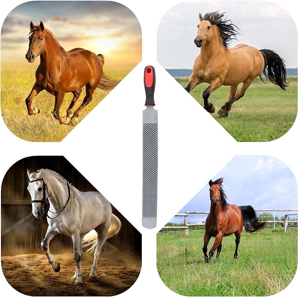 Dubbelzijdige hoefrasp voor paarden - Hoefverzorging met professioneel gereedschap