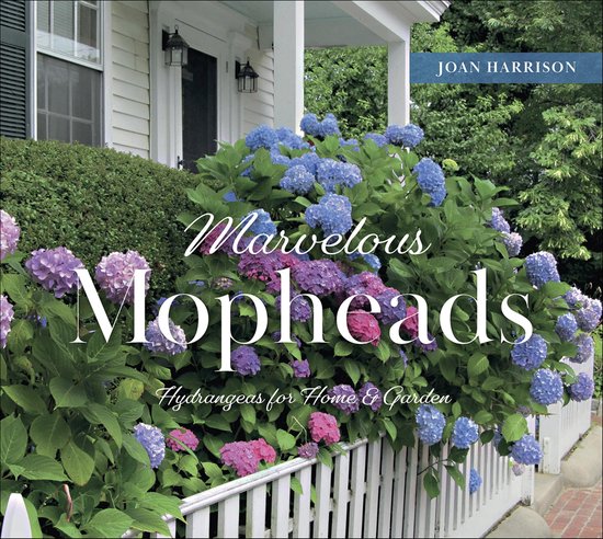 Marvelous Mopheads - cover