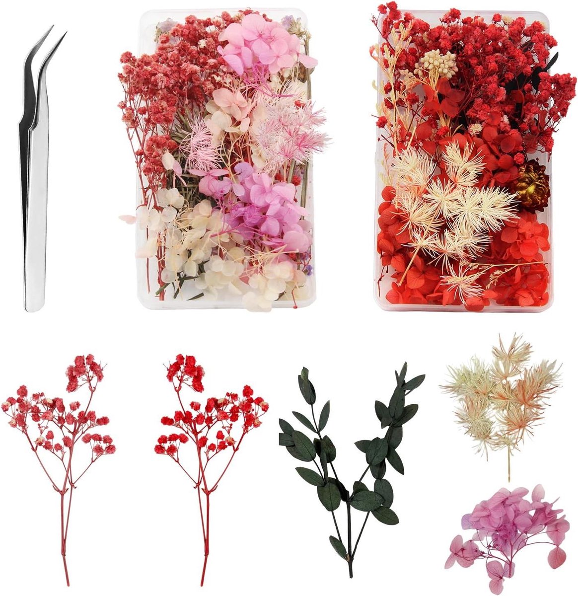 Cosensi - Gedroogde Bloemen voor Kaarsen met Pincet - Manicure en Thuisdecoratie - Set van 2