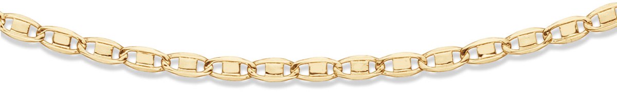 Gouden Dicht Valkenoog Collier 585