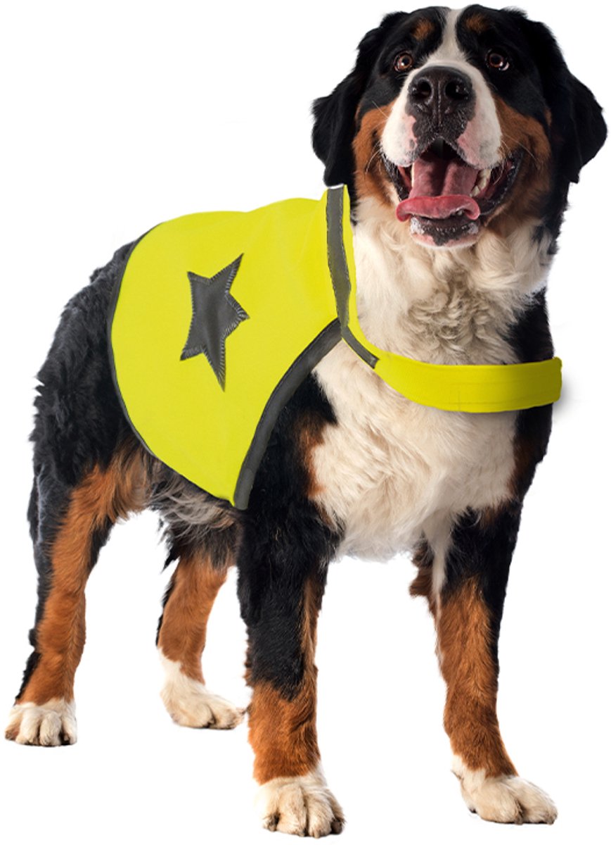 SEEcurity - veiligheidshesje voor honden - geel reflecterend - XL hals 54-68cm buik 74-88 cm - klittenbandsluiting - VEILIGHEID VOOROP