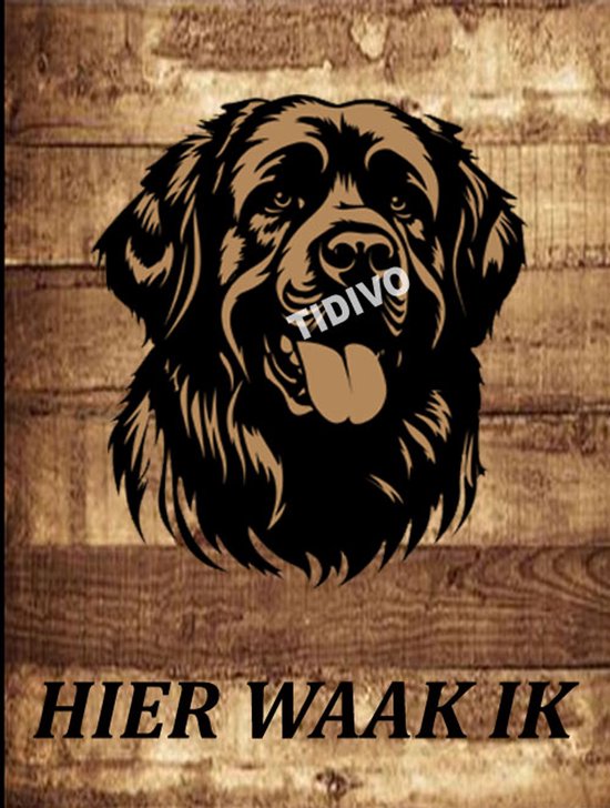 Leonberger 20