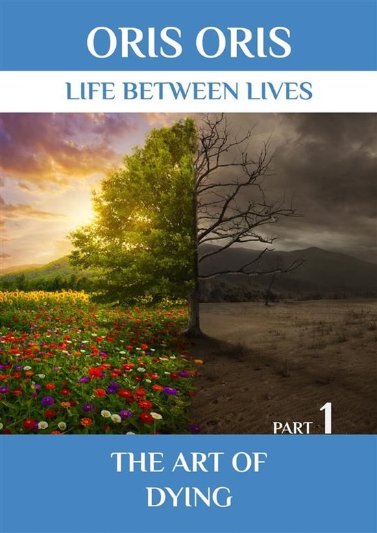 «Life between Lives» 8 - Book 8. «The art of dying». Par ... - cover