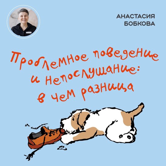  - cover