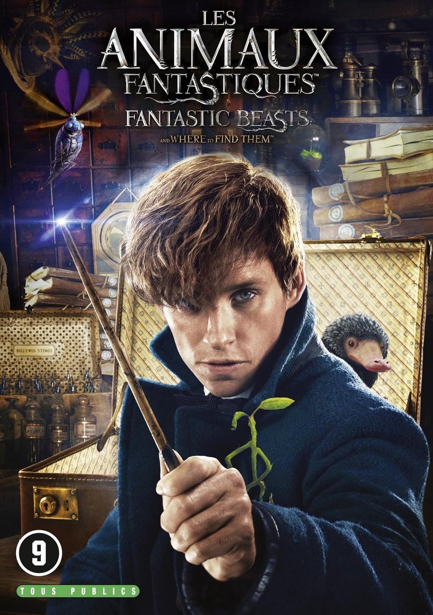 Fantastic Beasts And Where To Find Them (DVD)