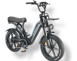 VIFA Q8 E-Fatbike I 48V 20Ah Accu Krachtige 250W Motor Dubbele Vering en Hydraulische Remmen