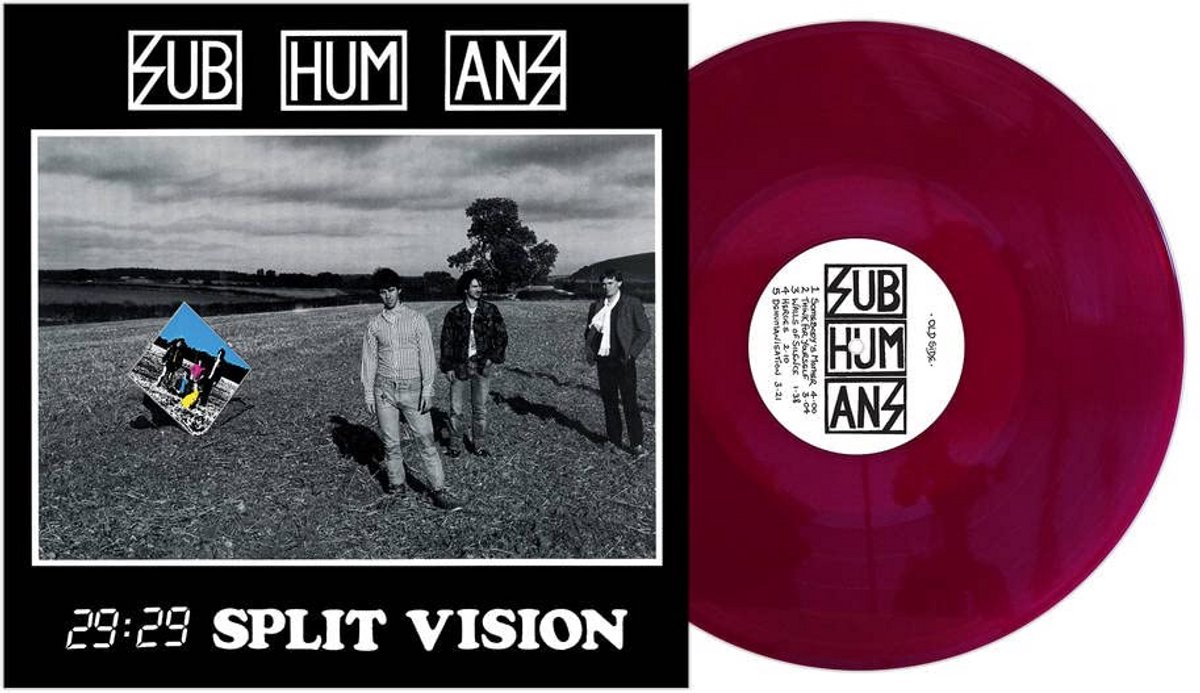 Split Vision (Diep Paarse Vinyl) - Punk Rock Album