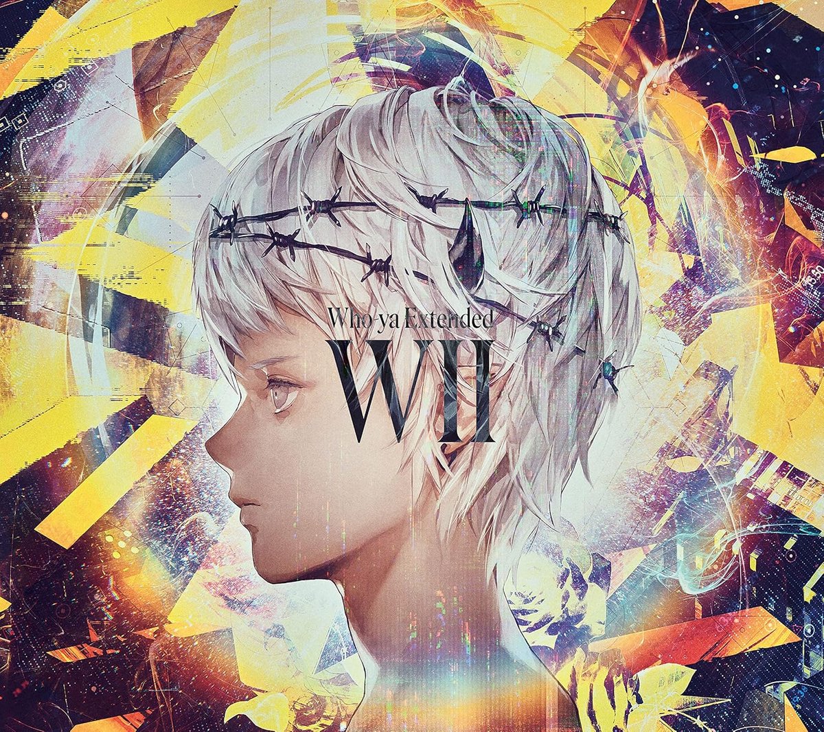 WII 初回生産限定盤 - Gaming ervaring zonder handelsnaam