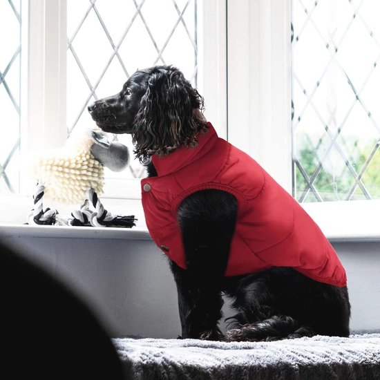 Voedertas voor honden met 4-in-1, lekkernijenzak voor honden