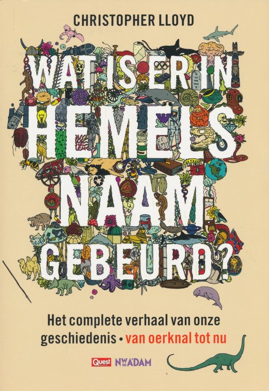 Wat is er in hemelsnaam gebeurd? - cover