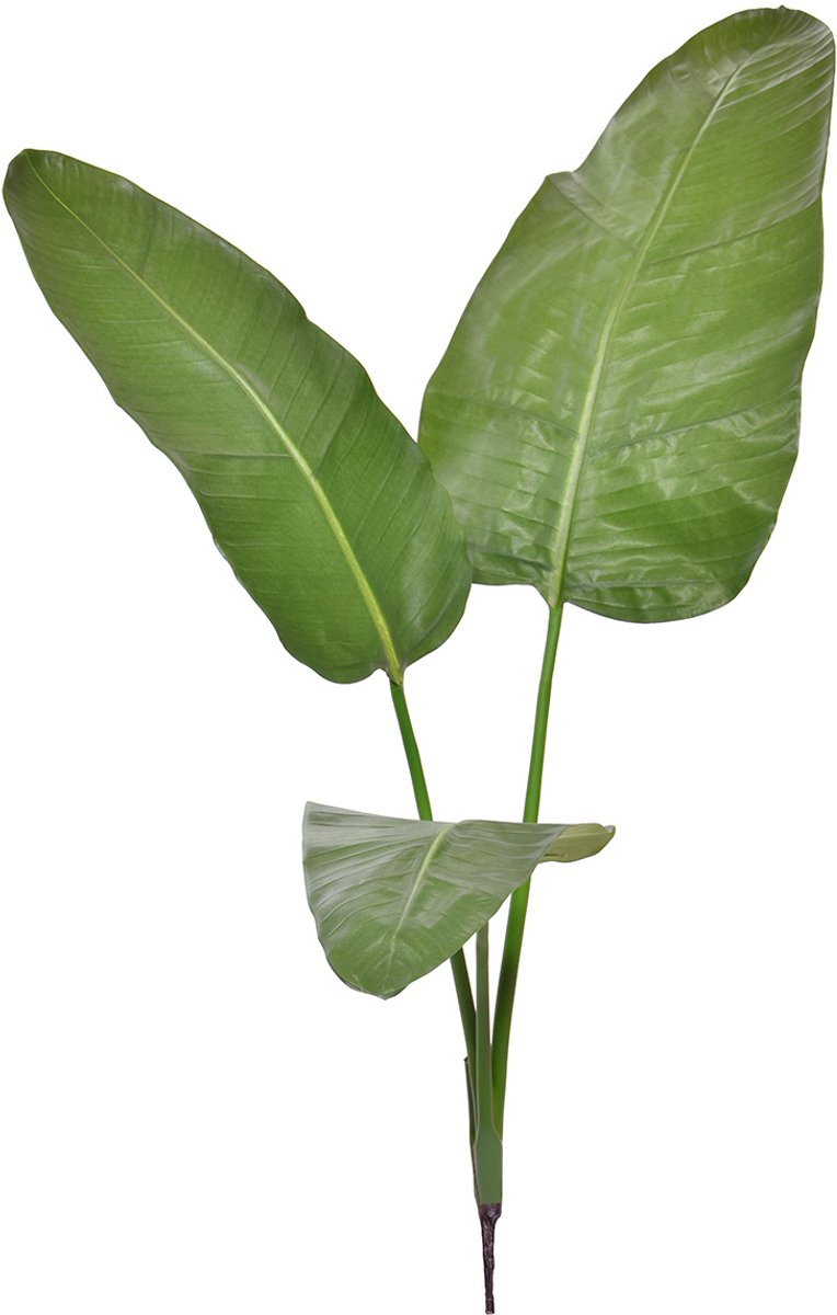 maxifleur Kunstplanten Strelitzia Nicolai deluxe Kunstpalm Bush 110cm Groen