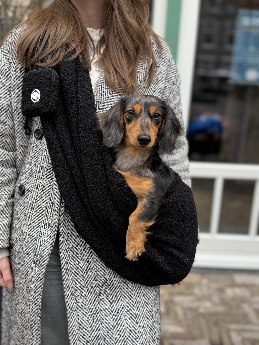 The Dog Label - Hondendraagtas - hondentas - draagtas hond - draagzak - kleine honden - hondendraagzak- pups - oude hondjes - honden reistas- teddy - zwart