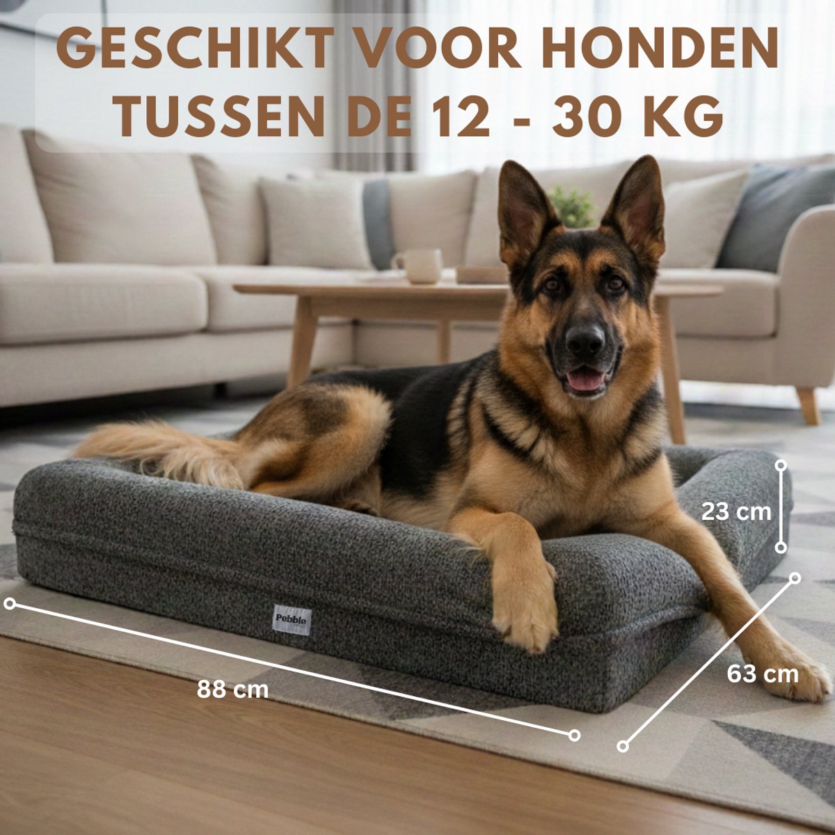Pebble Orthopedische Hondenmand 88x63 cm Creme Wit - Wasbaar - Teddy - Hondenbed - Stevige Bodem - Zacht Pluche - Hondenkussen - Voor Middelgrote Honden thumbnail 3