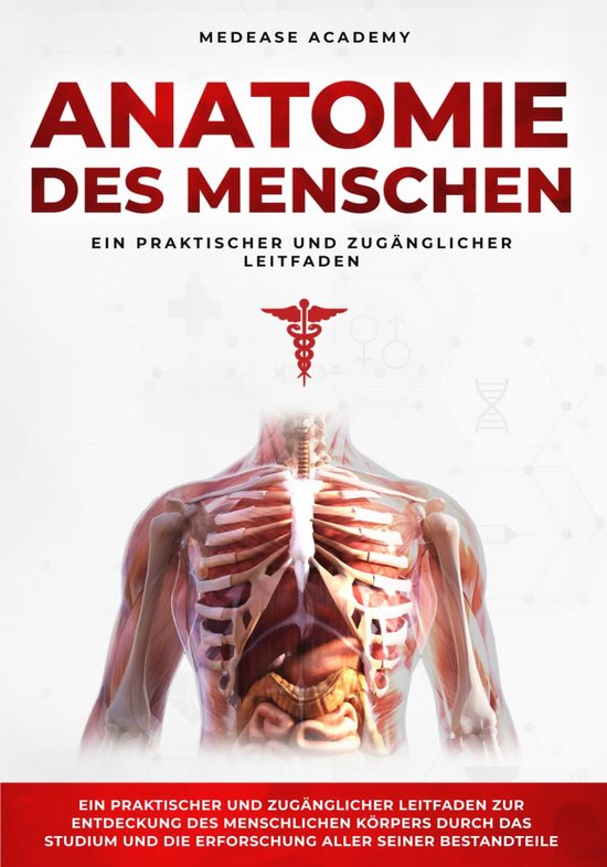 Praktischer Leitfaden zur menschlichen Anatomie: Entdecken Sie den ...