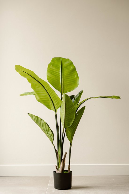 Indore Silva - Kunstplant Strelitzia - 120cm