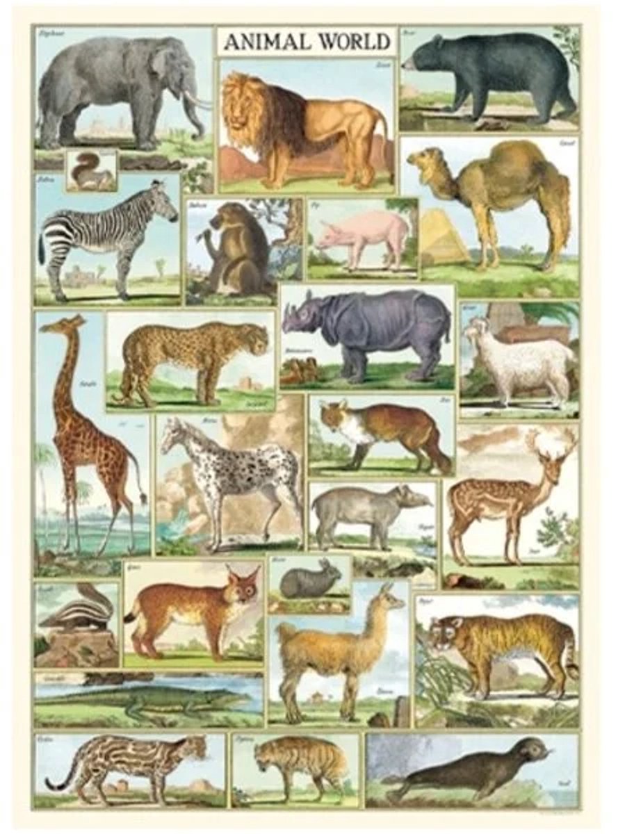 Cavallini & Co Poster Dieren Wereld - Cavallini & Co - Vintage Schoolplaat Animal World Multi Color
