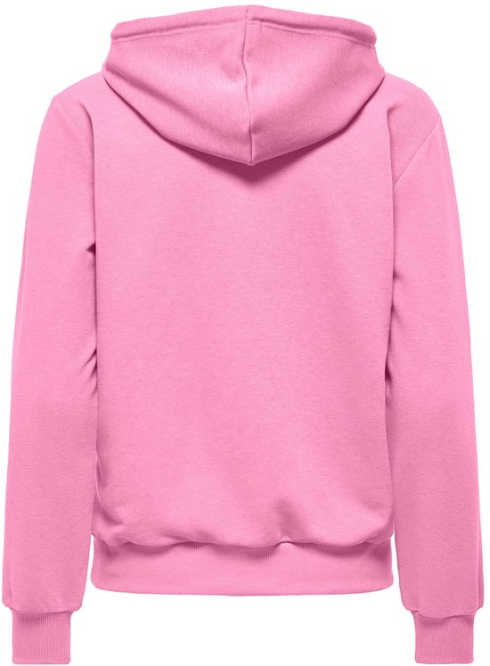 Roze hoodie met capuchon, van achteren gezien.