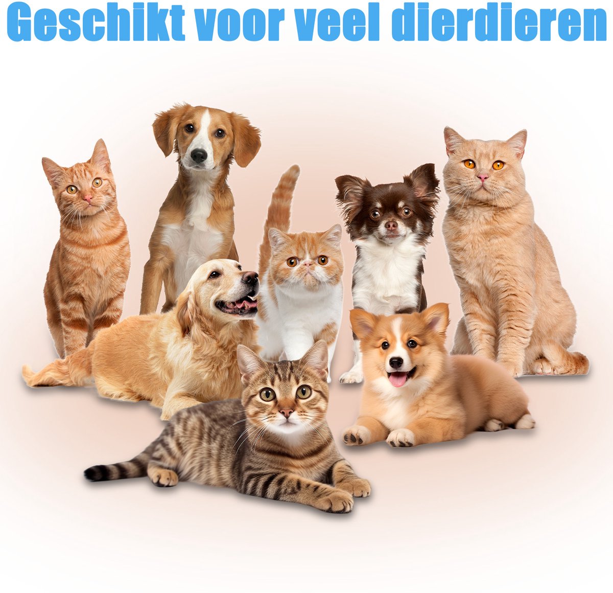 Yongkang Hondenhaardroger 2000 Watt Superstil - afbeelding 2