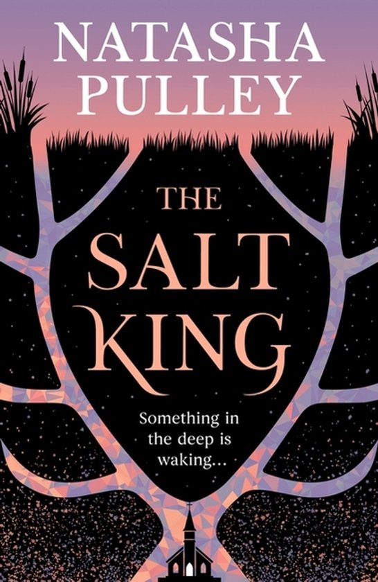 The Salt King - cover