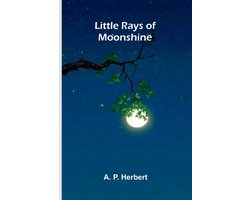 Little Rays Of Moonshine