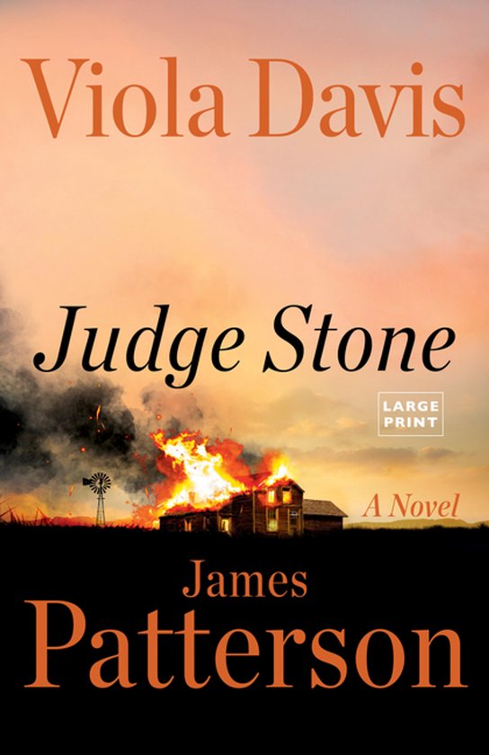 Judge Stone - cover