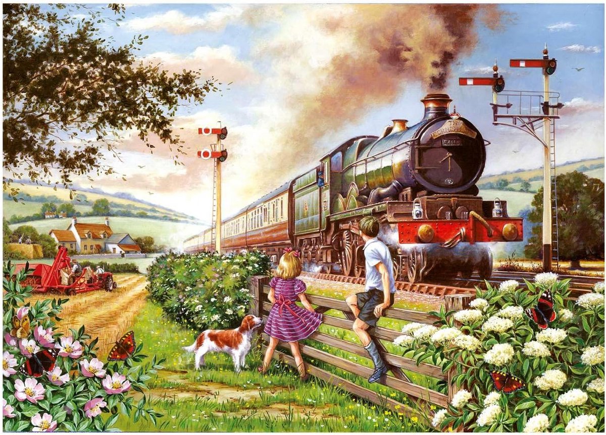 1000 Stukken Puzzel: Schilderachtig Treinlandschap - Uitdagende Legpuzzel voor Volwassenen en Kinderen