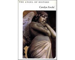 The Angel of History