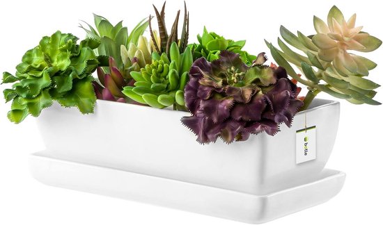 2-delige Set Bonsai Keramische Pot Bonsai Schotel Met Onderzetter En Kamerplanten Retro Decoratie Tuincontainersets