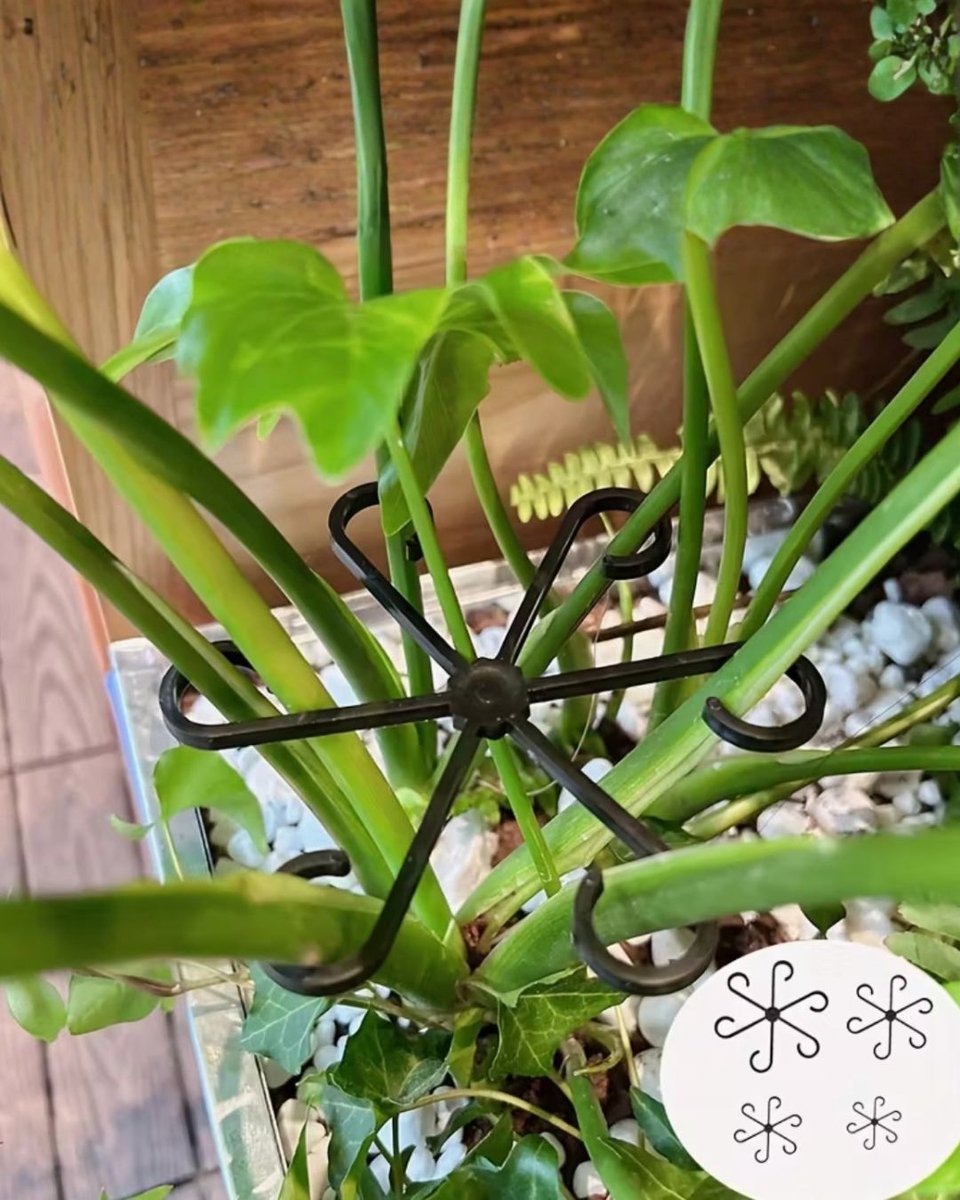 Plantensteunen – 4 stuks | Klimsteunen voor Kamerplanten & Tuinplanten | Plantenbinder | Herbruikbare Stengelhouders van Kunststof | Groeiaccessoires voor Klimplanten, Tomaten, Monstera, Orchidee & Kruiden (Groen)