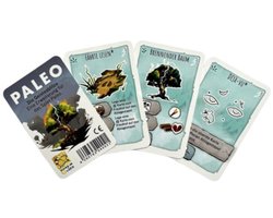 Paleo Mini Uitbreiding - De Flitsen Van Inspiratie 999 Games Bordspel