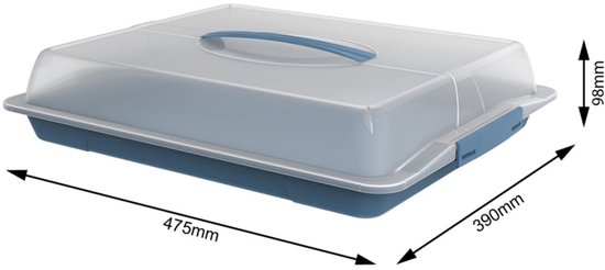 Rotho JOHN Rectangulaire Boîte Bleu, Transparent 1 pièce(s)