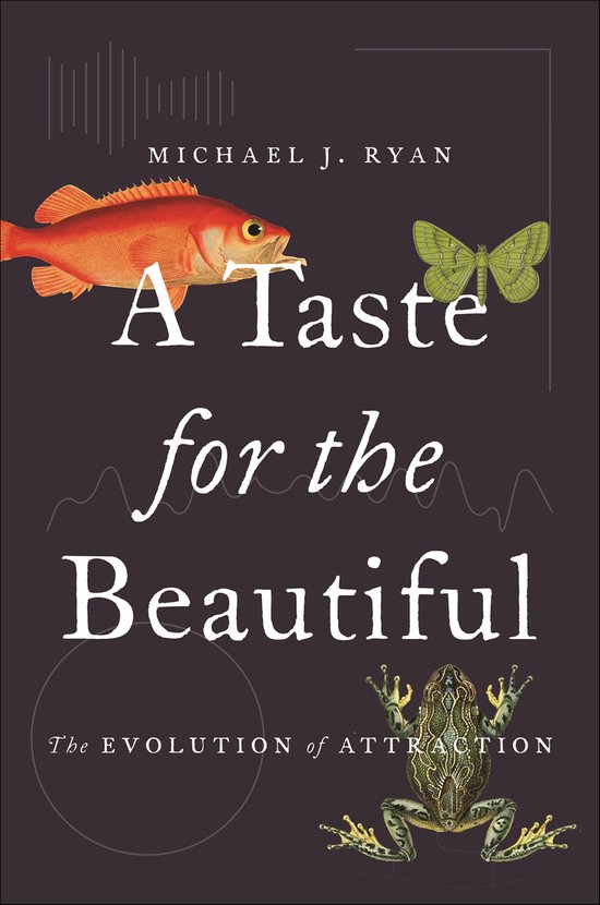A Taste for the Beautiful - cover