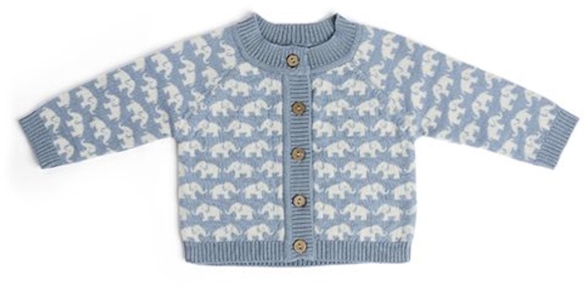 Merinowollen baby vest Finn - Blauw - maatje 92/98
