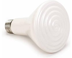 Keramische Donkerstraler 60W – Infrarood Warmtelamp Zonder Licht – E27 Fitting – 20.000 branduren - Geschikt voor Terrarium & Opfok - Warmtebron voor Kuikens, Reptielen, Pups & Kittens