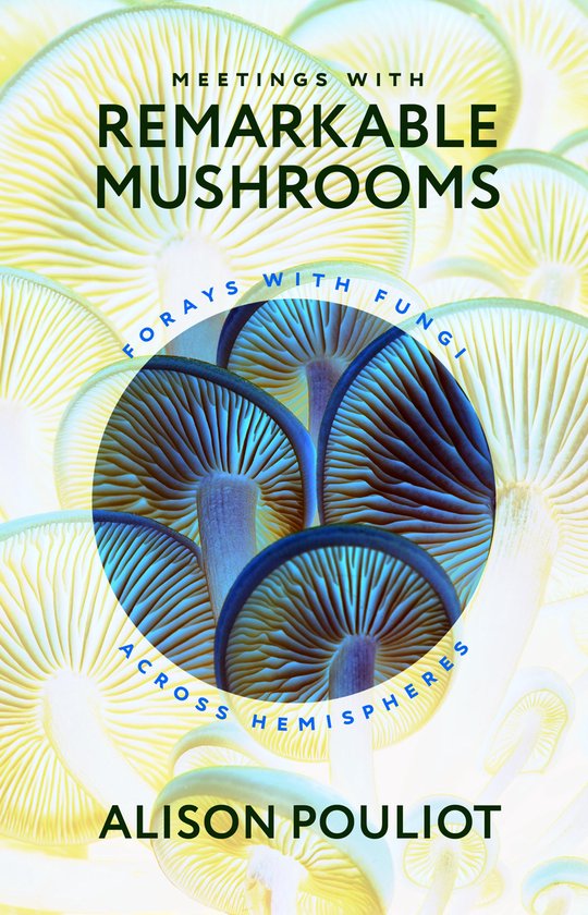 Meetings with Remarkable Mushrooms - cover