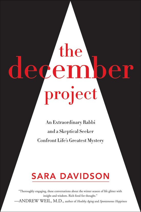 The December Project - cover