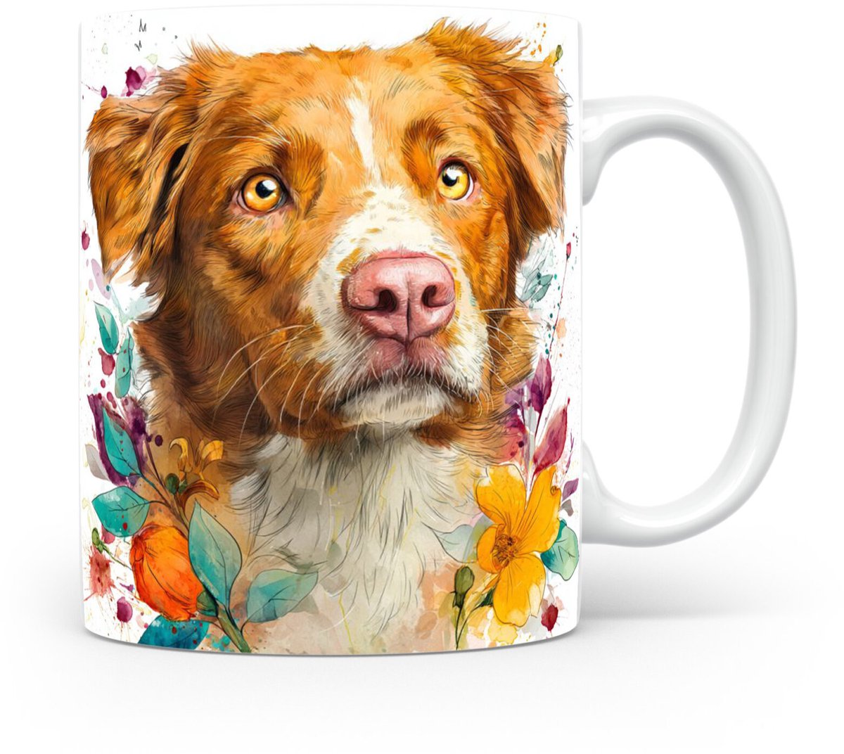 Beker Nova Scotia Duck Tolling Retriever