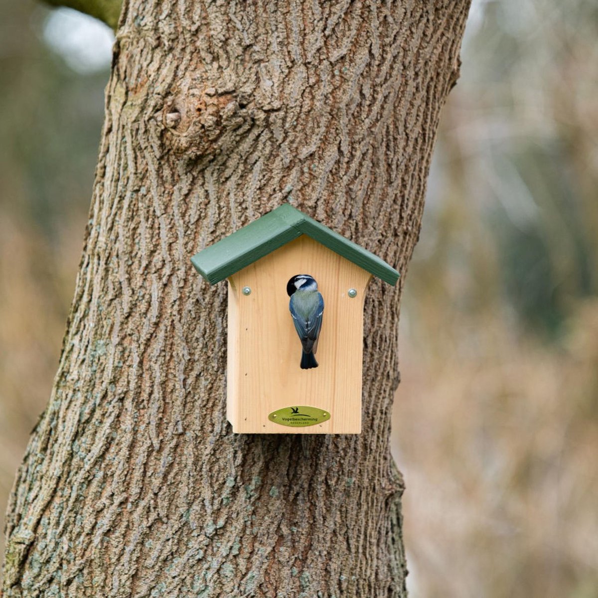 Nestkastje Pimpelmees - Bruin - 12x22x24 cm