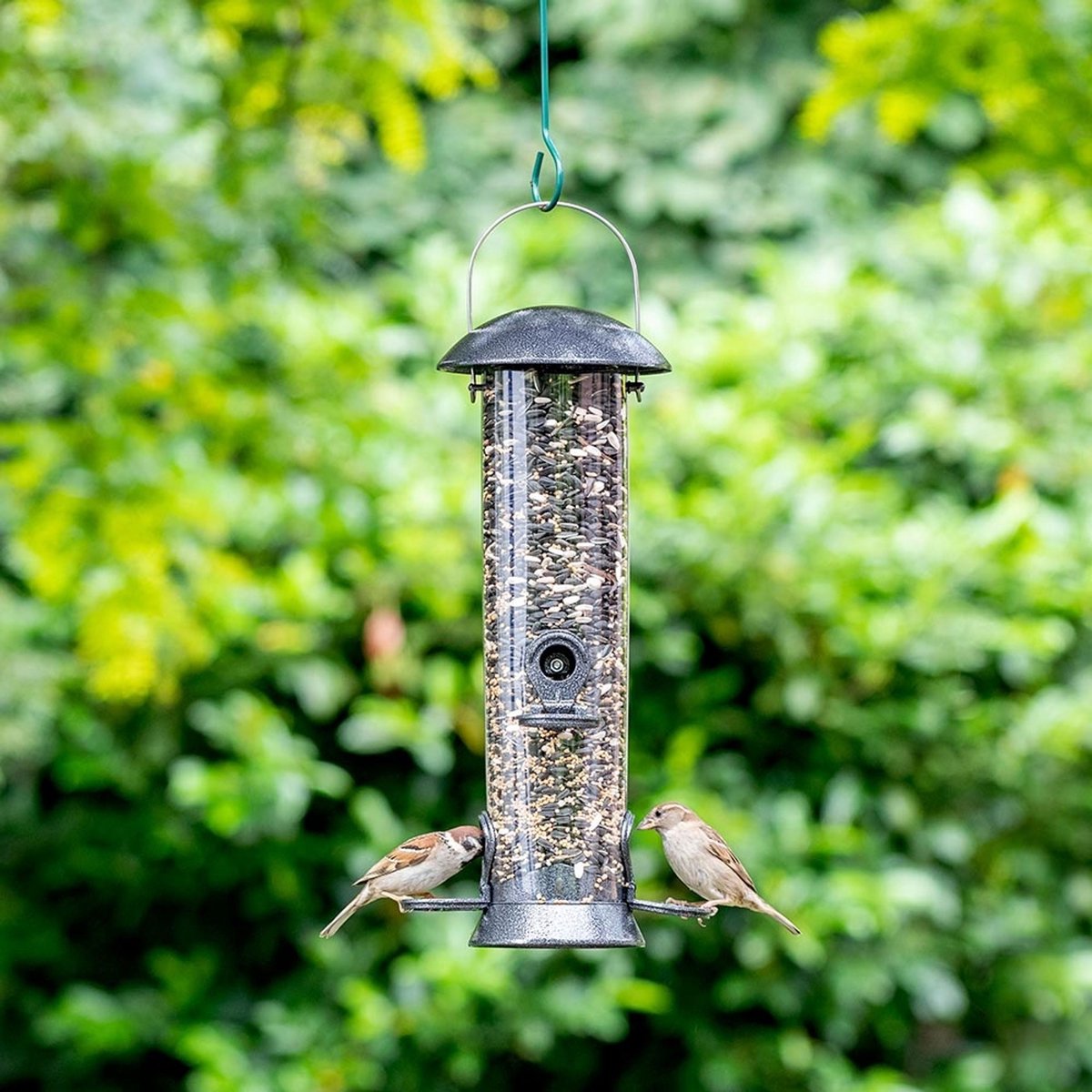 CJ Wildlife Voedersilo voor Tuinvogels - Adventurer - Vogelvoedersilo voor Kleine Vogels - Hangend Vogelvoederhuisje van 40cm - Vogelvoer Silo - Grafietgrijs