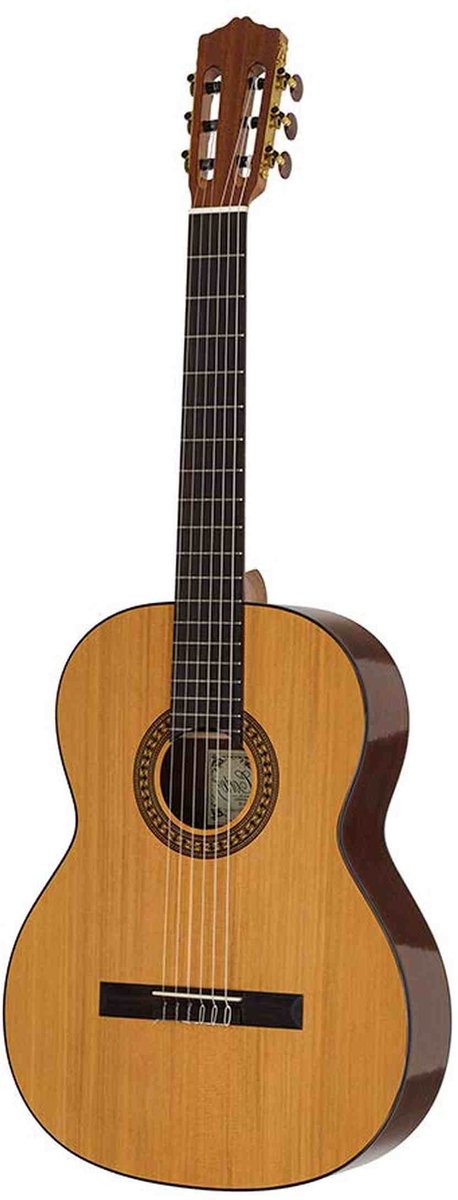 Klassieke gitaar 4/4 Salvador Cortez Solid Top Artist Series CC-22L linkshandig